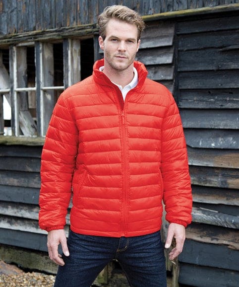 Result Ice bird padded jacket