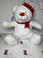 Christmas Teddy with Santa Hat